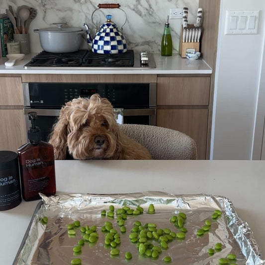 🫛 Edamame Treats