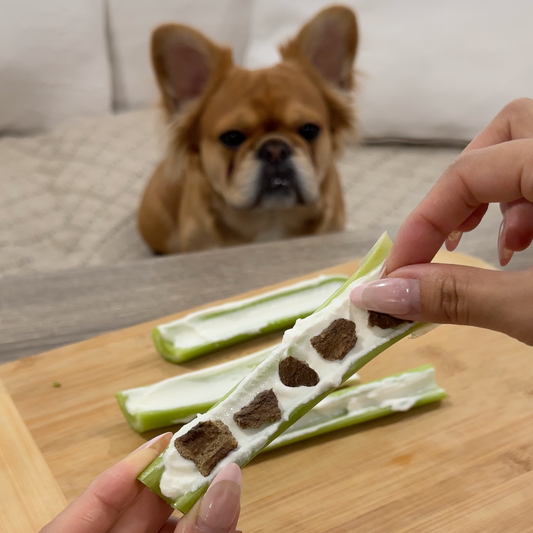 🪥 Dental Treats