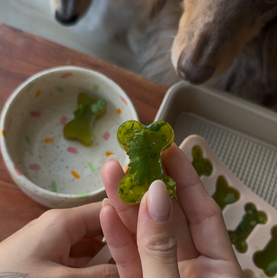 🦴 Detox Bone Broth Gummies