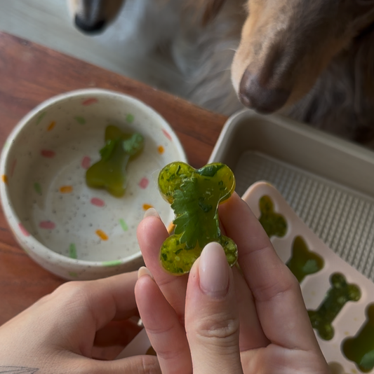 🦴 Detox Bone Broth Gummies
