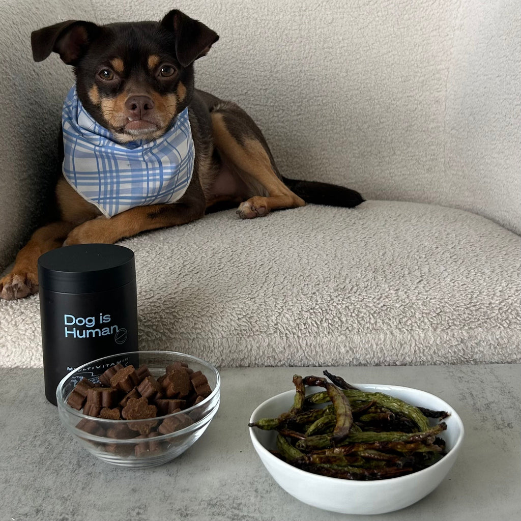 🫛 Green Bean Treats
