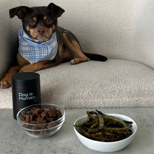 🫛 Green Bean Treats