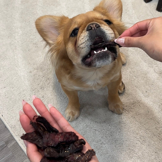 🥩 Beef Jerky