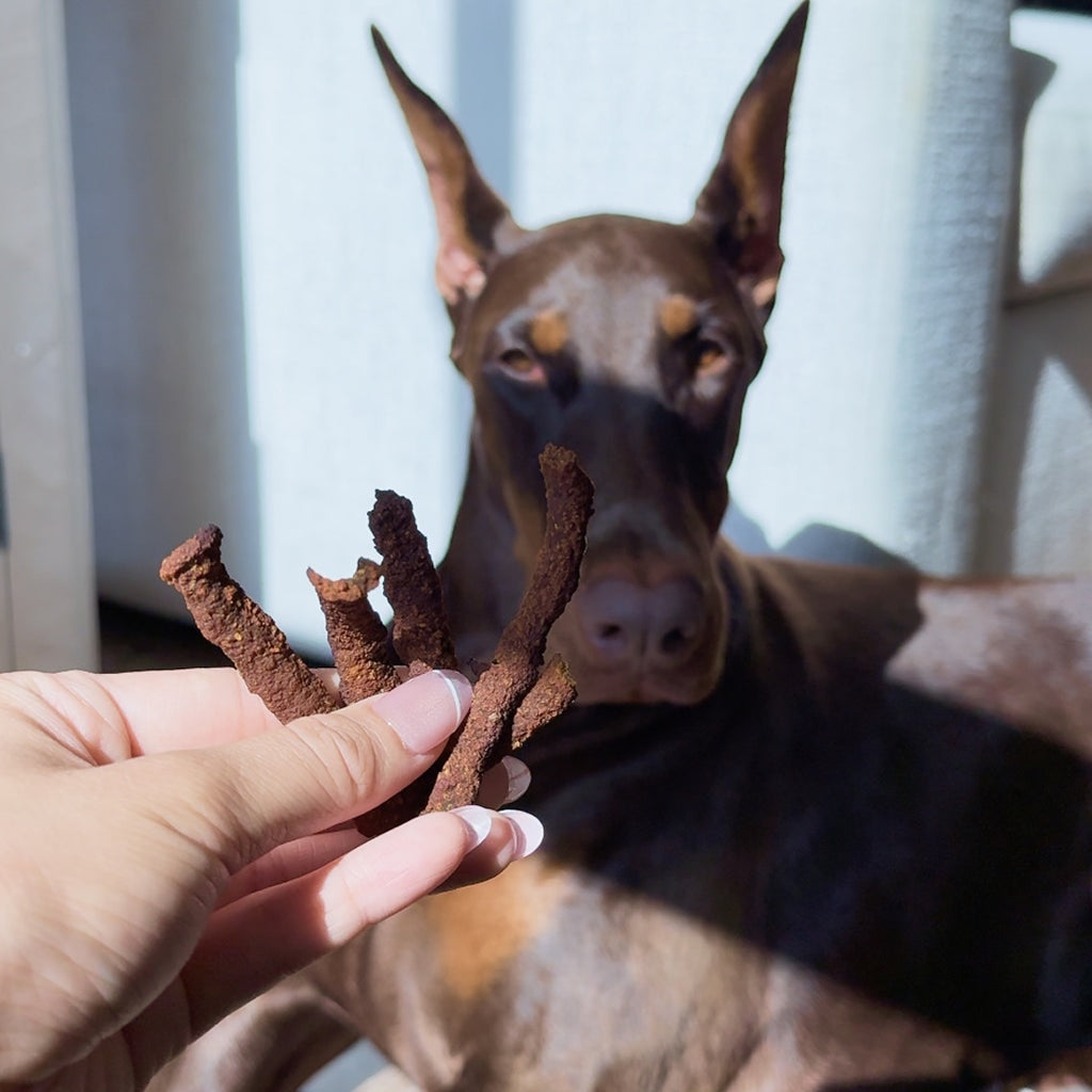 🍂 Fall Jerky Treats