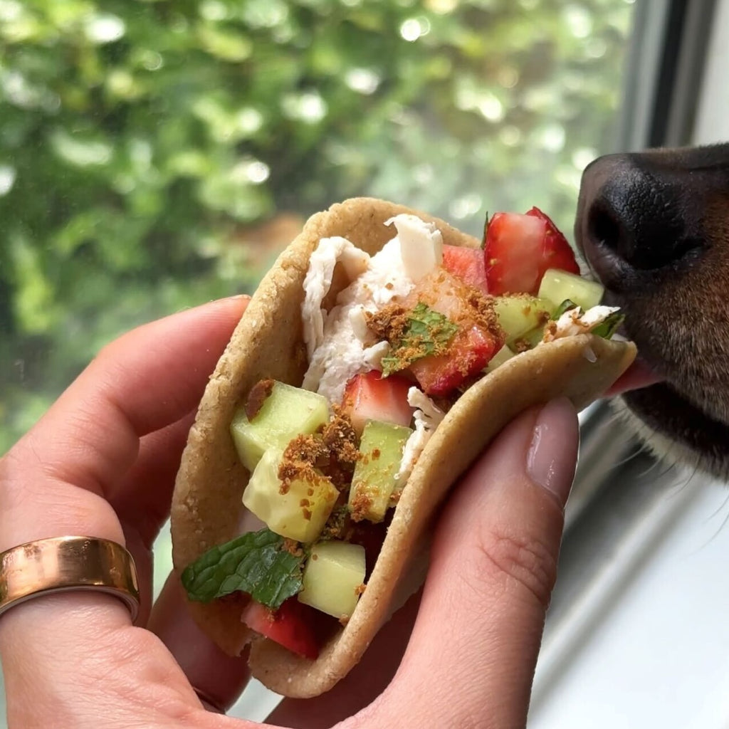 🌮 Dog-Friendly Tacos