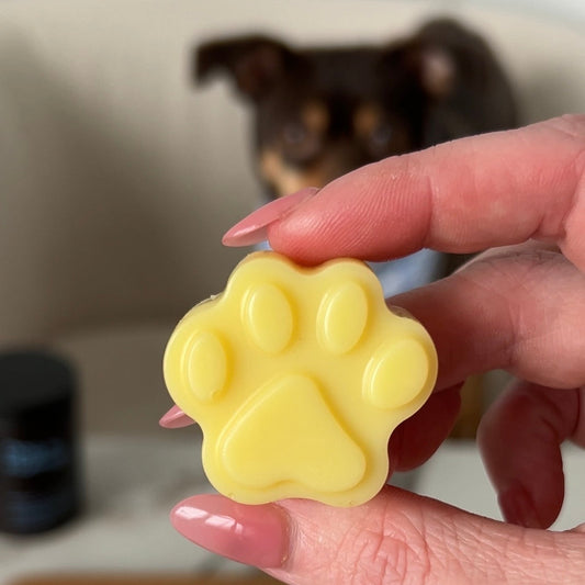🐾 Paw Balm