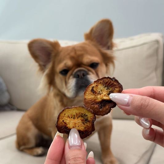 🥝 Kiwi Chips