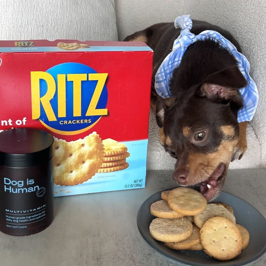 💛 Ritz-Inspired Crackers