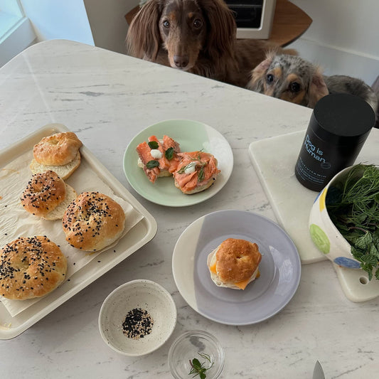🥯 Doggy Deli Bagels