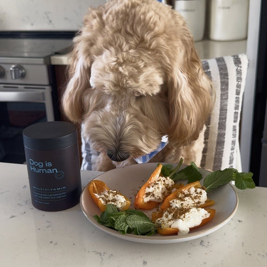 🥕 Easter Pepper Treats