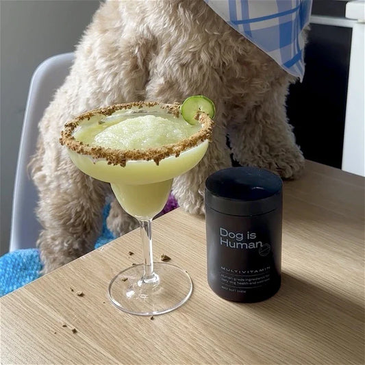 🥒 Cucumber Margarita