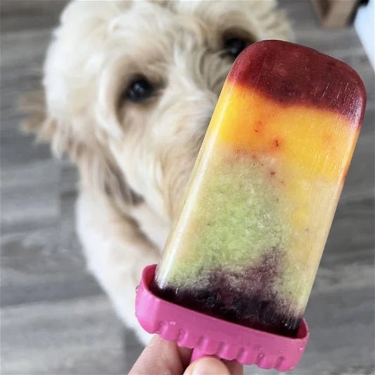 🌈 Rainbow Pupsicle