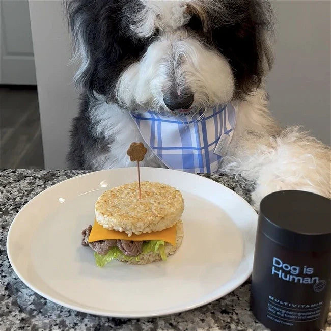 🍔 Rice Burger