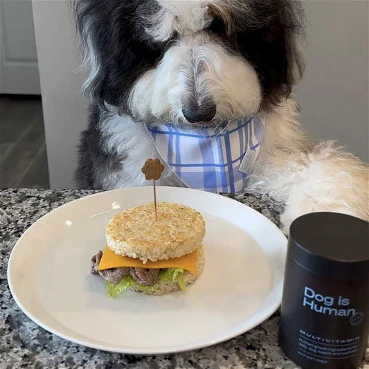 🍔 Rice Burger