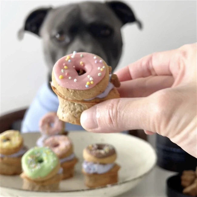 🧁 Donut Pupcake