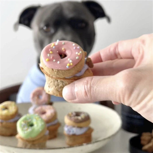 🧁 Donut Pupcake