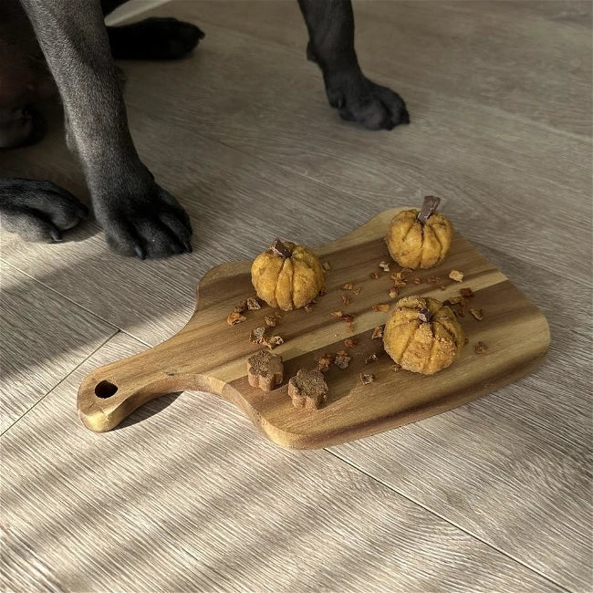 🎃 Pumpkin Bites