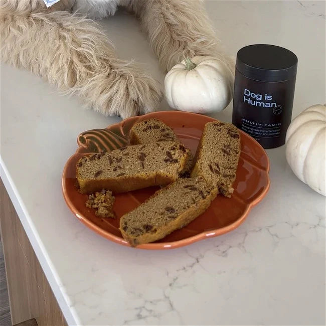 🍞 Pumpkin Bread