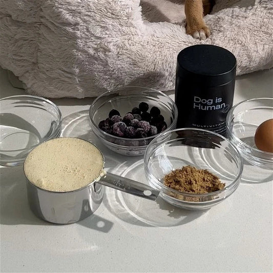 🦴 Homemade Training Treats
