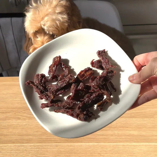 🥩 1 Ingredient Beef Jerky Treats