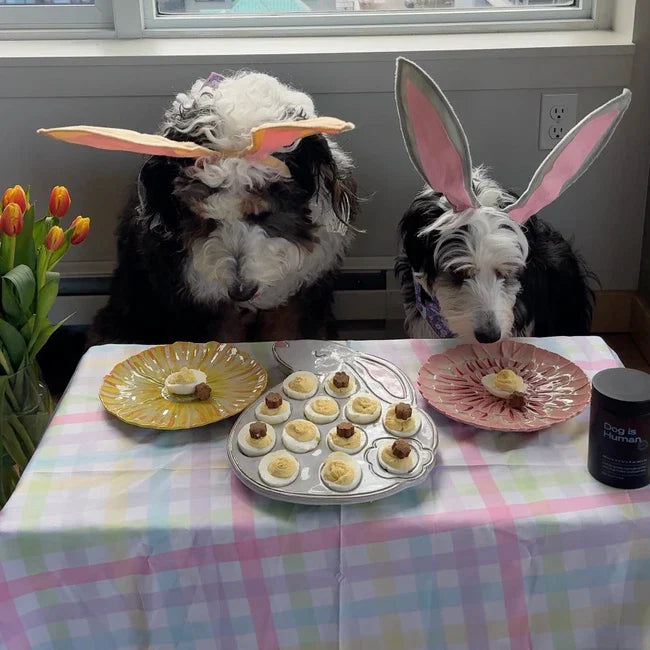 🥚 Easter Eggs