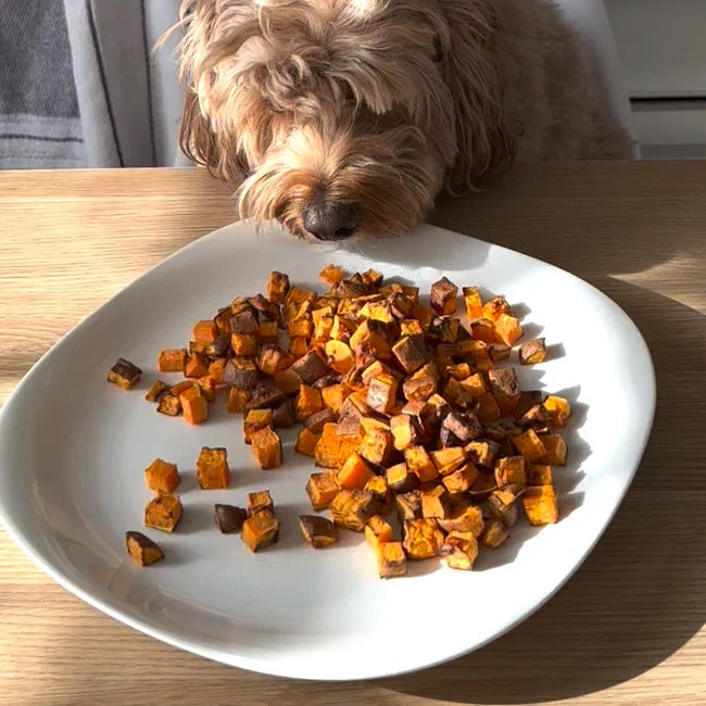 🍠 1 Ingredient Sweet Potato Treats