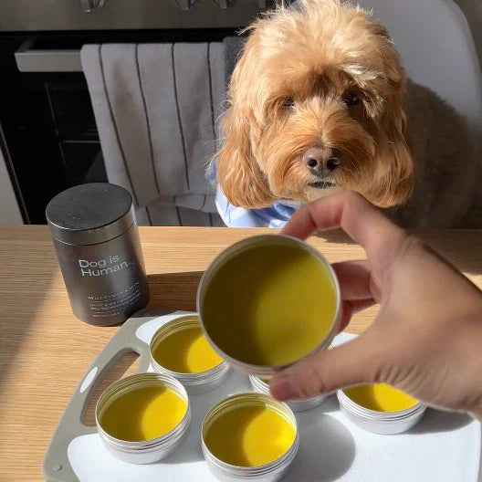 🥥 Paw Balm