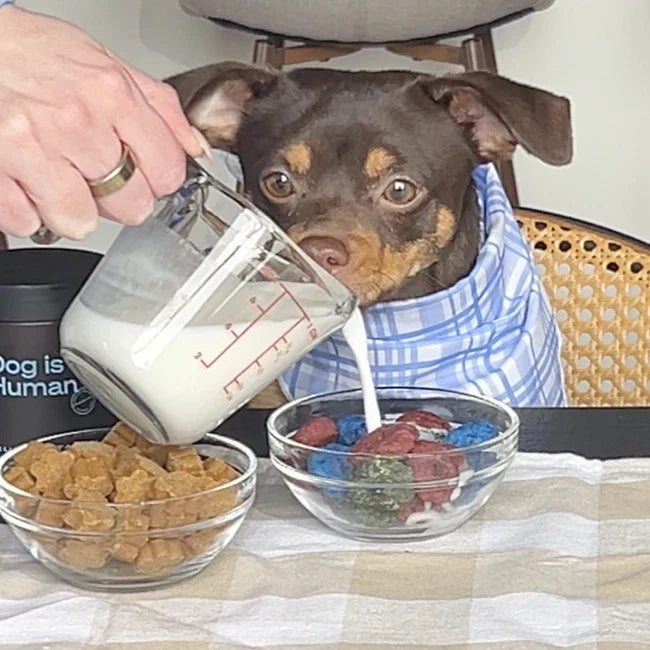 🥣 Dog Froot Loops