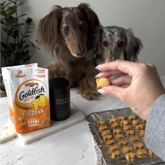 🐟 Goldfish Crackers