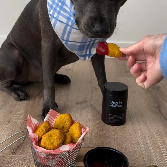 🍗 Chicken Nuggets