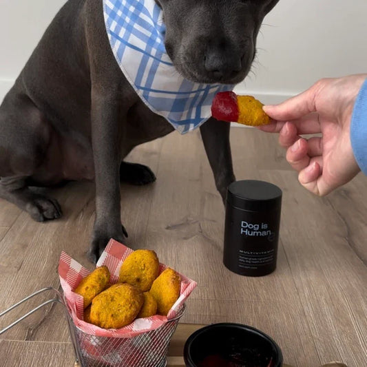 🍗 Chicken Nuggets