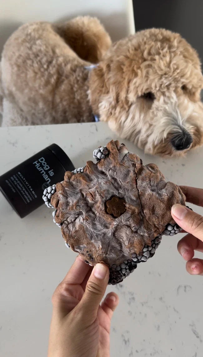 🐶 Blackberry Bark