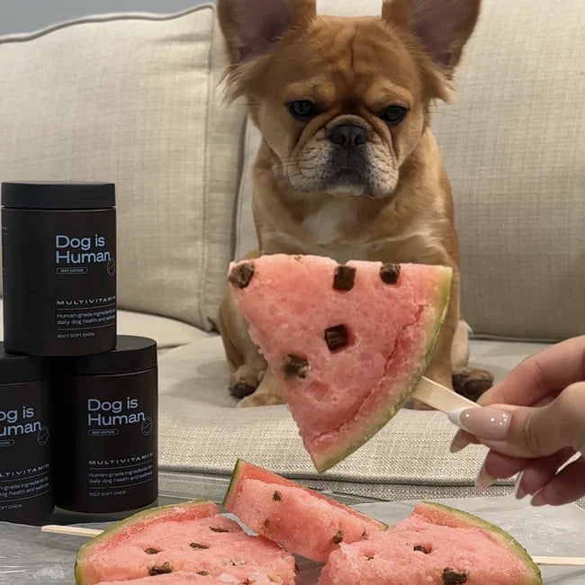 🍉 Watermelon Pupsicles