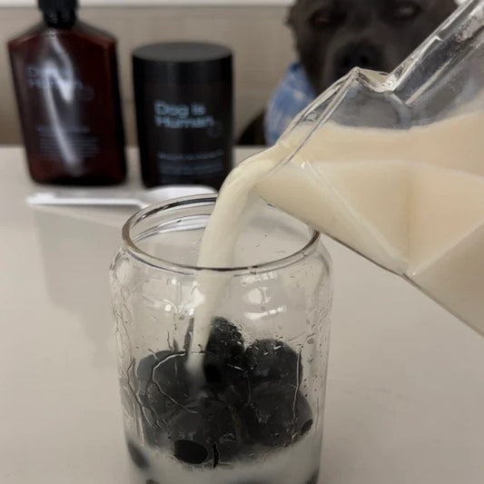 🧋 Boba Tea