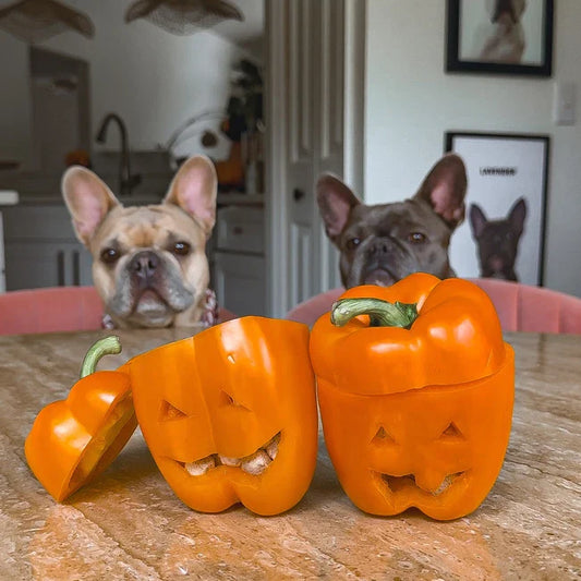 🎃 Fall Enrichment Treats
