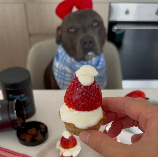 🎅🏼 Strawberry Santa Pupcakes