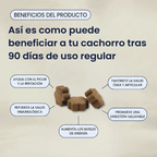 DM-01™ Multivitamínico diario