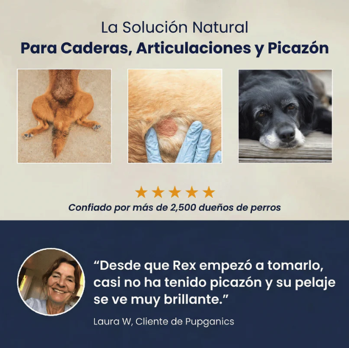 DM-01™ Multivitamínico diario